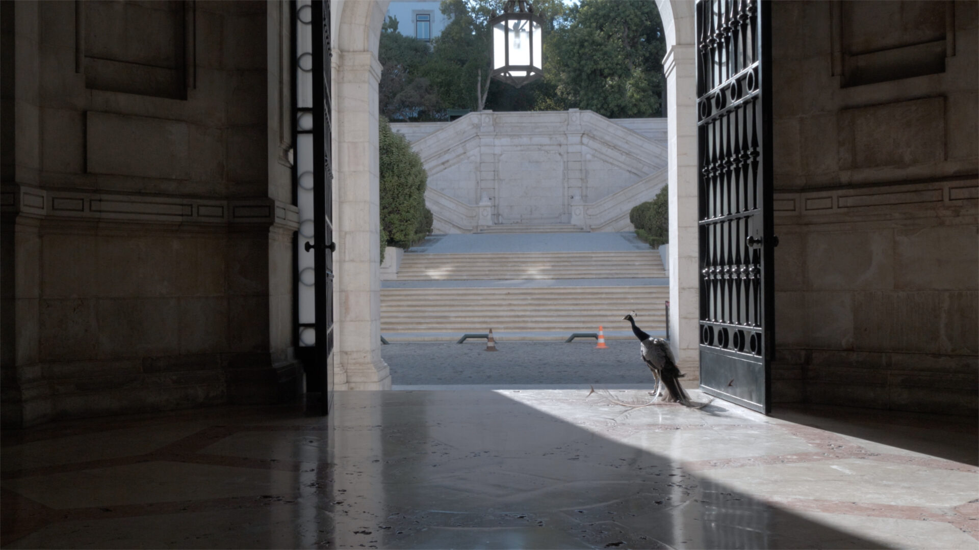 O Palácio de Cidadãos