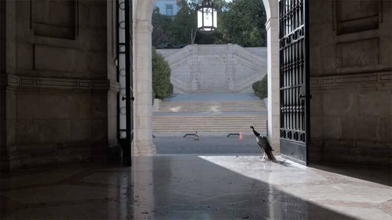 O Palácio de Cidadãos